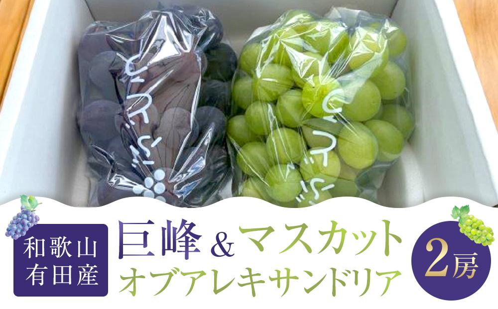 先行予約&nbsp;和歌山&nbsp;有田産&nbsp;2色&nbsp;ぶどう&nbsp;詰め合わせ&nbsp;巨峰&nbsp;マスカットオブアレキサンドリア［2026年8月下旬以降発送］