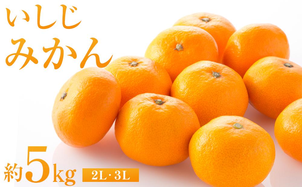 いしじみかん&nbsp;約5kg（2L・3L）【2025年12月から発送】【柑橘&nbsp;フルーツ&nbsp;果物&nbsp;くだもの&nbsp;食品&nbsp;人気&nbsp;おすすめ&nbsp;広島県&nbsp;尾道市】