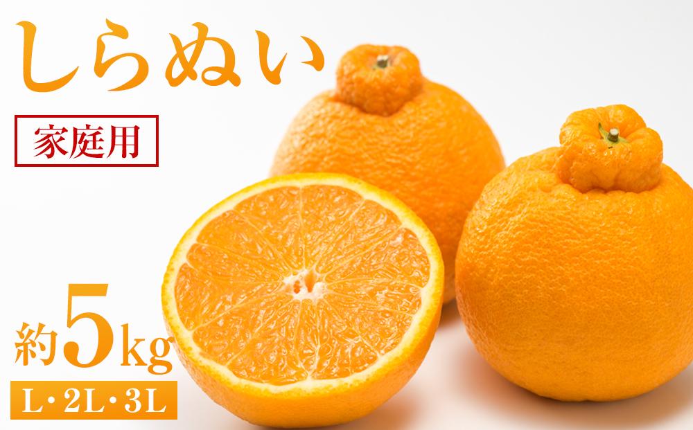 しらぬい&nbsp;約5kg（家庭用）【2026年2月から発送】【不知火&nbsp;柑橘&nbsp;フルーツ&nbsp;果物&nbsp;くだもの&nbsp;食品&nbsp;人気&nbsp;おすすめ&nbsp;広島県&nbsp;尾道市】