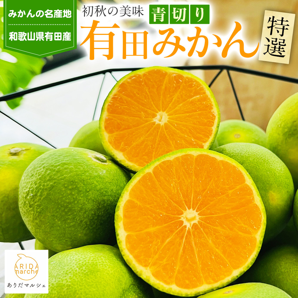 ［先行予約］特選&nbsp;青切り有田みかん&nbsp;2kg&nbsp;［2026年9月中旬より発送］［MS20］