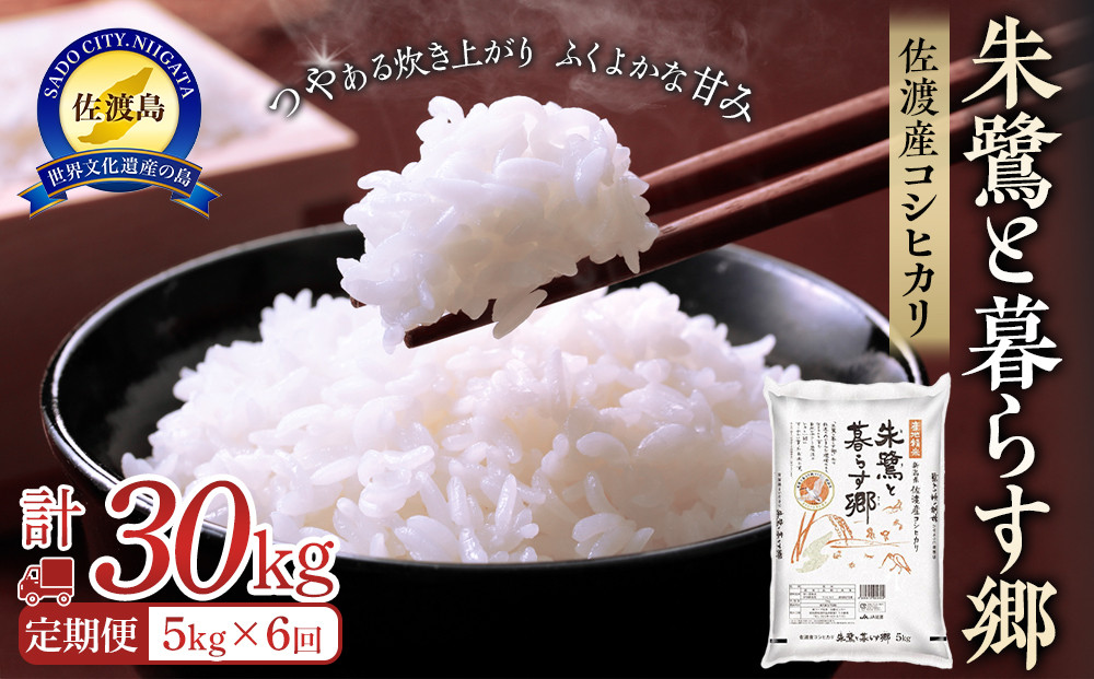 米&nbsp;定期便&nbsp;朱鷺と暮らす郷&nbsp;佐渡産&nbsp;コシヒカリ&nbsp;(&nbsp;5kg&nbsp;×&nbsp;全6回&nbsp;)&nbsp;【令和6年産】
