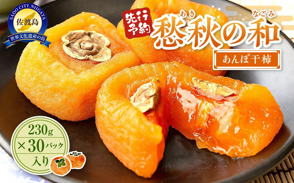 【先行予約】愁秋の和（あきのなごみ）あんぽ干柿　230g×30パック入り