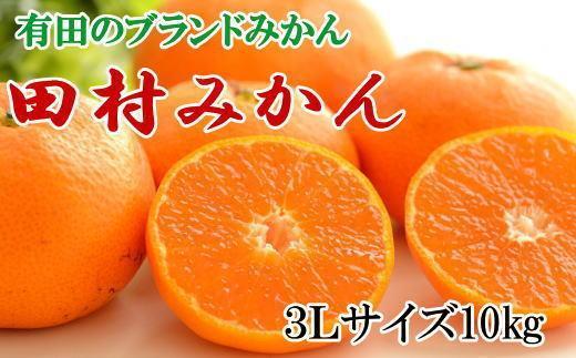 【ブランドみかん】田村みかん約10kg（3Lサイズ）★2024年11月下旬頃より順次発送【TM107】