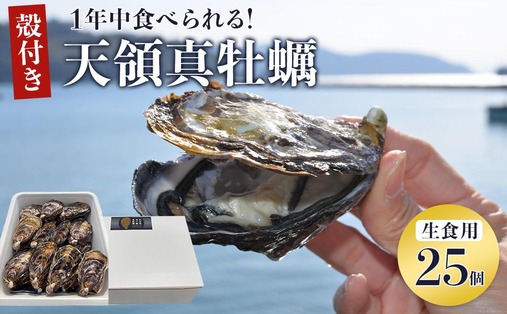 小豆島 天領真牡蠣 (殻付き生食用) 25個セット