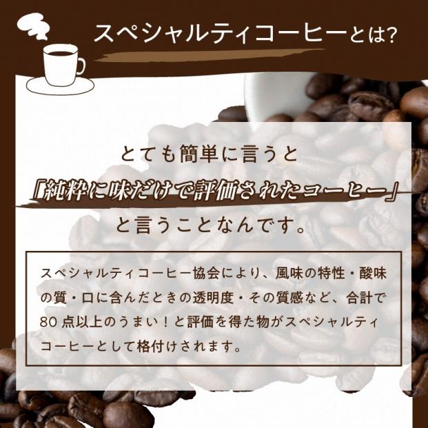 3月の中煎りブレンド 自家焙煎 高級コーヒー豆 800g - コーヒー