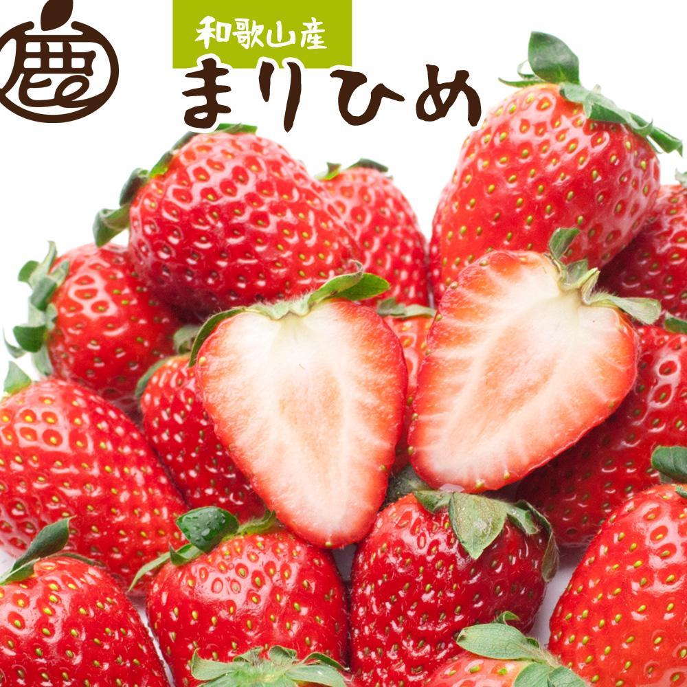 朝摘み完熟まりひめ約600g（300g前後×2トレイ）［和歌山ブランド苺まりひめ］［こだわりの土耕栽培のいちごを農家直送］［IKE101］