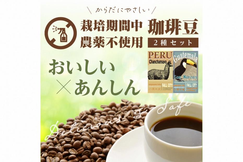 おいしい珈琲屋のグアテマラゲイシャコーヒー500g | www