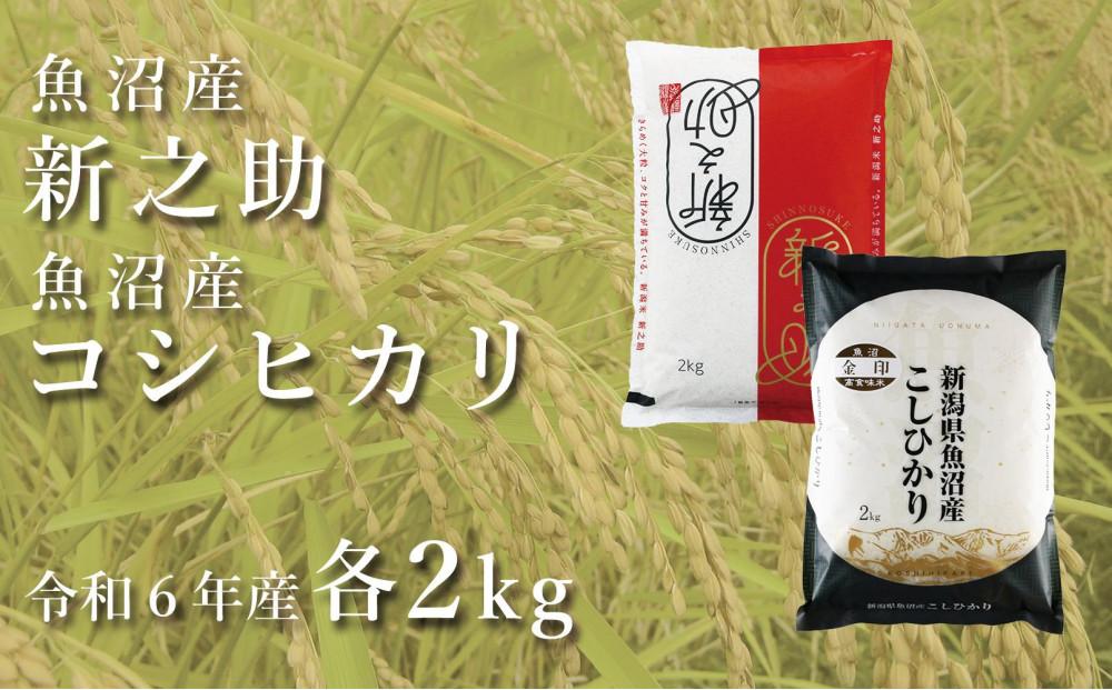 ＜令和6年産＞中魚沼産「新之助」2kg ＋ 魚沼産コシヒカリ「金印」2kg 食べ比べセット