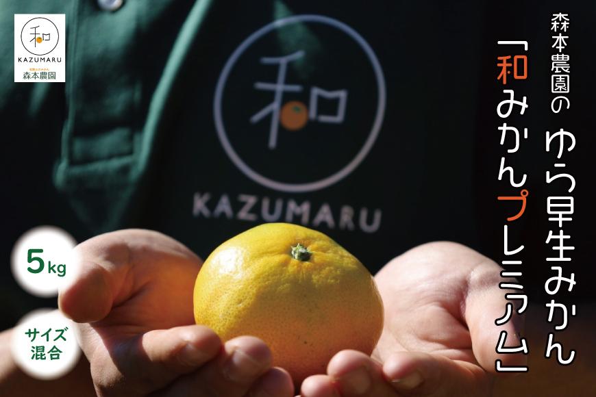 ゆら早生みかん「和みかんプレミアム」 5kg  サイズ混合【北海道・沖縄・一部離島 配送不可】ギフト ふるさと納税 和歌山県海南市 果物 オレンジ フルーツ 柑橘 みかん