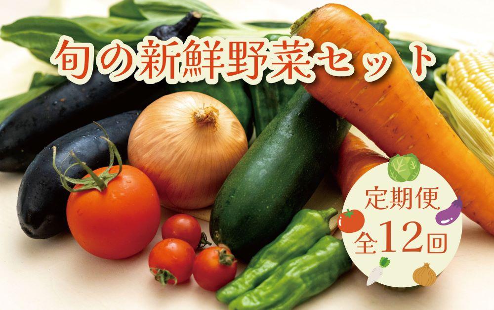 【毎月お届け全12回】旬の新鮮野菜セットＡ（たっぷり15品以上）