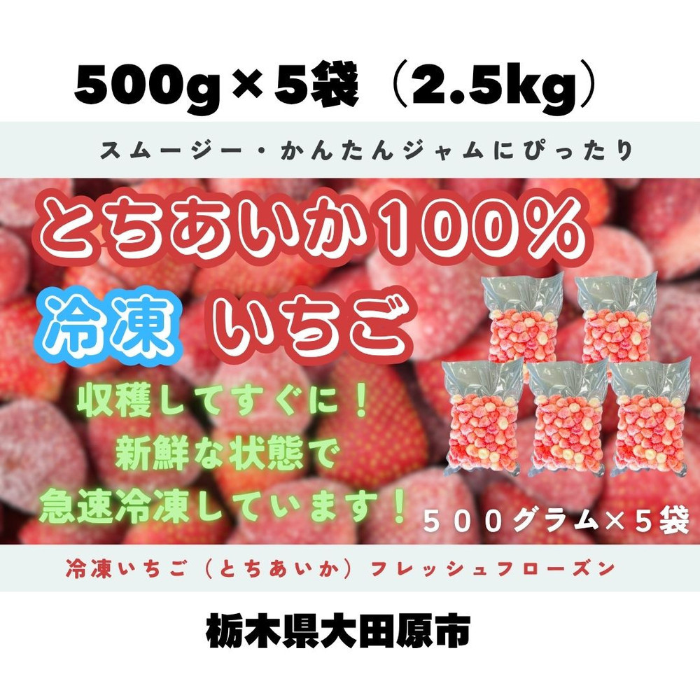 【スムージー・かんたんジャムに最適】冷凍いちごとちあいかフレッシュフローズン（500ｇ×5袋）
