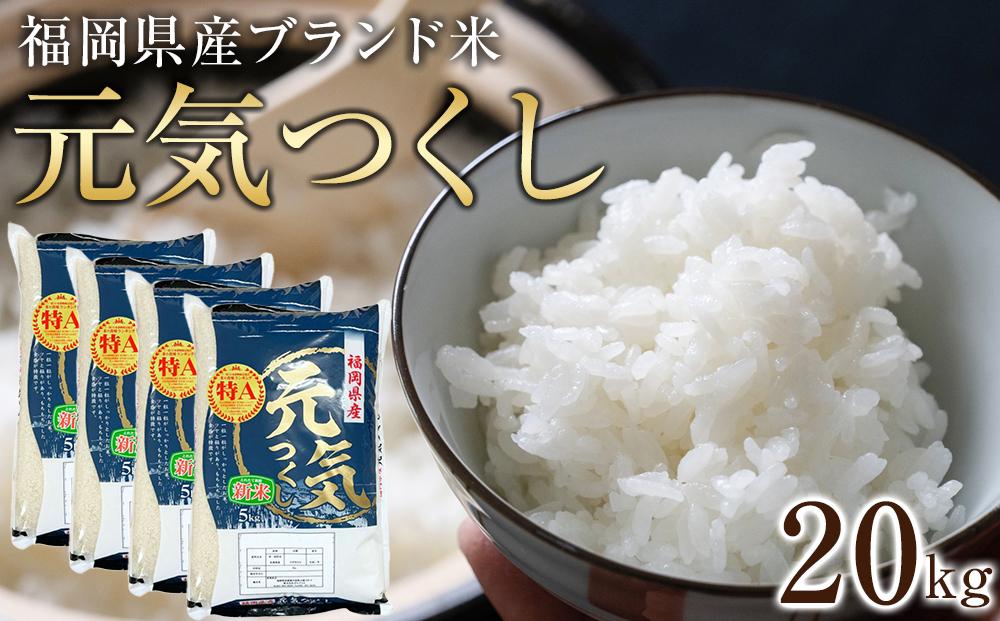 ＜令和7年産＞福岡県産ブランド米「元気つくし」白米20kg&nbsp;＜筑前町＞【米&nbsp;ブランド米&nbsp;ブランド&nbsp;白米&nbsp;元気つくし&nbsp;令和7年産&nbsp;20kg&nbsp;20キロ&nbsp;家庭用&nbsp;&nbsp;お取り寄せ&nbsp;お土産&nbsp;福岡県産&nbsp;取り寄せ&nbsp;グルメ&nbsp;福岡県&nbsp;筑前町&nbsp;CE002】