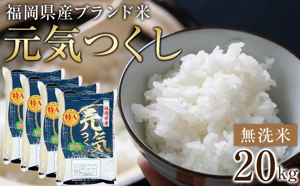 令和6年産＞福岡県産ブランド米「元気つくし」無洗米20kg ＜筑前町＞【米 ブランド米 ブランド 白米 元気つくし 令和6年産 20kg 20キロ  無洗米 家庭用 お取り寄せ お土産 福岡県産 取り寄せ グルメ 福岡県 筑前町 CE004】 | JTBのふるさと納税サイト [ふるぽ]