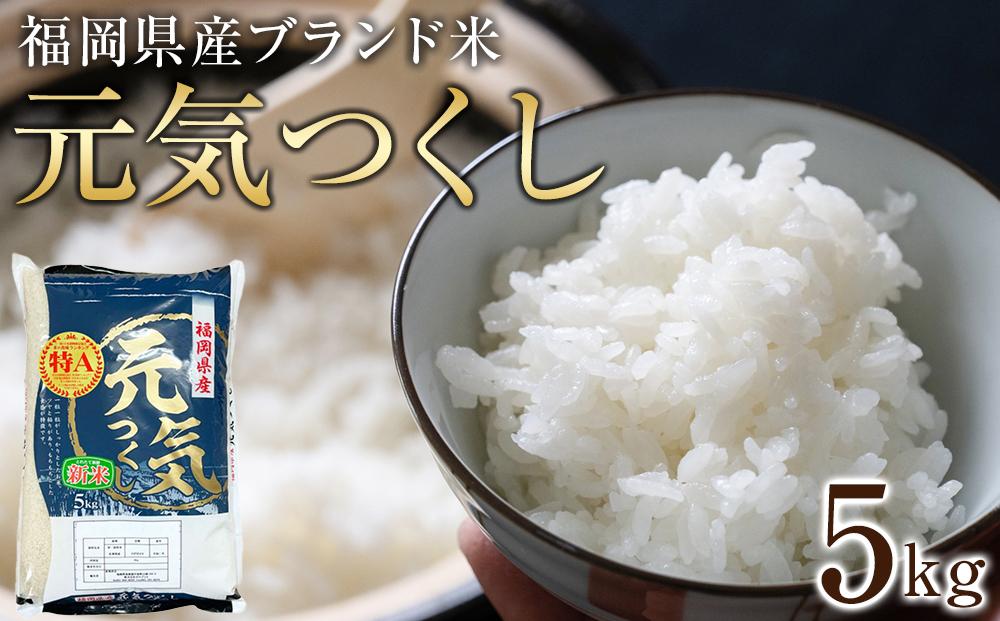 ＜令和7年産＞福岡県産ブランド米「元気つくし」白米5kg&nbsp;【米&nbsp;ブランド米&nbsp;ブランド&nbsp;白米&nbsp;元気つくし&nbsp;令和7年産&nbsp;家庭用&nbsp;&nbsp;お取り寄せ&nbsp;お土産&nbsp;福岡県産&nbsp;取り寄せ&nbsp;グルメ&nbsp;福岡県&nbsp;筑前町&nbsp;CE014】