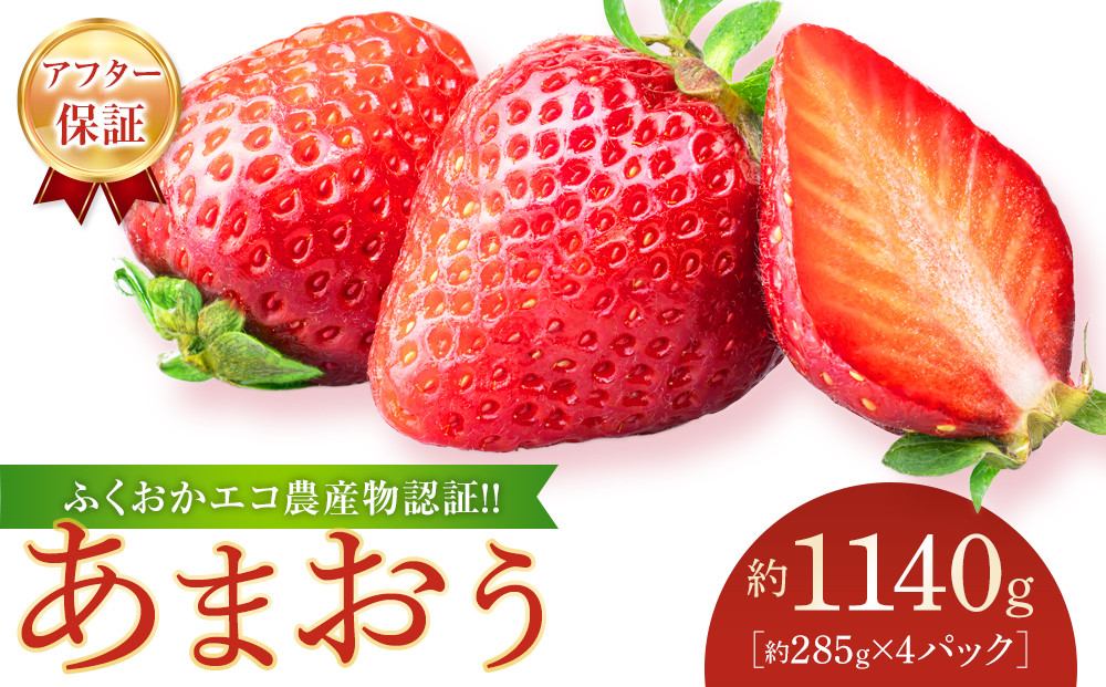 ふくおかエコ農産物認証!!&nbsp;あまおう&nbsp;約1140g&nbsp;約285g×4パック【&nbsp;いちご&nbsp;苺&nbsp;イチゴ&nbsp;フルーツ&nbsp;果物&nbsp;福岡県産&nbsp;あまおう&nbsp;大粒&nbsp;人気&nbsp;あまおう&nbsp;認証あまおう&nbsp;福岡県あまおう&nbsp;福岡県&nbsp;筑前町&nbsp;送料無料&nbsp;DG001】