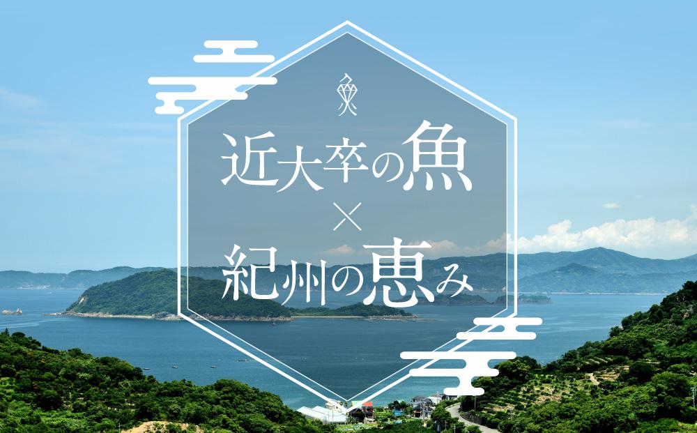 お食事券 3名様 コース 近畿大学水産研究所 近大マグロを食す | JTBのふるさと納税サイト [ふるぽ]