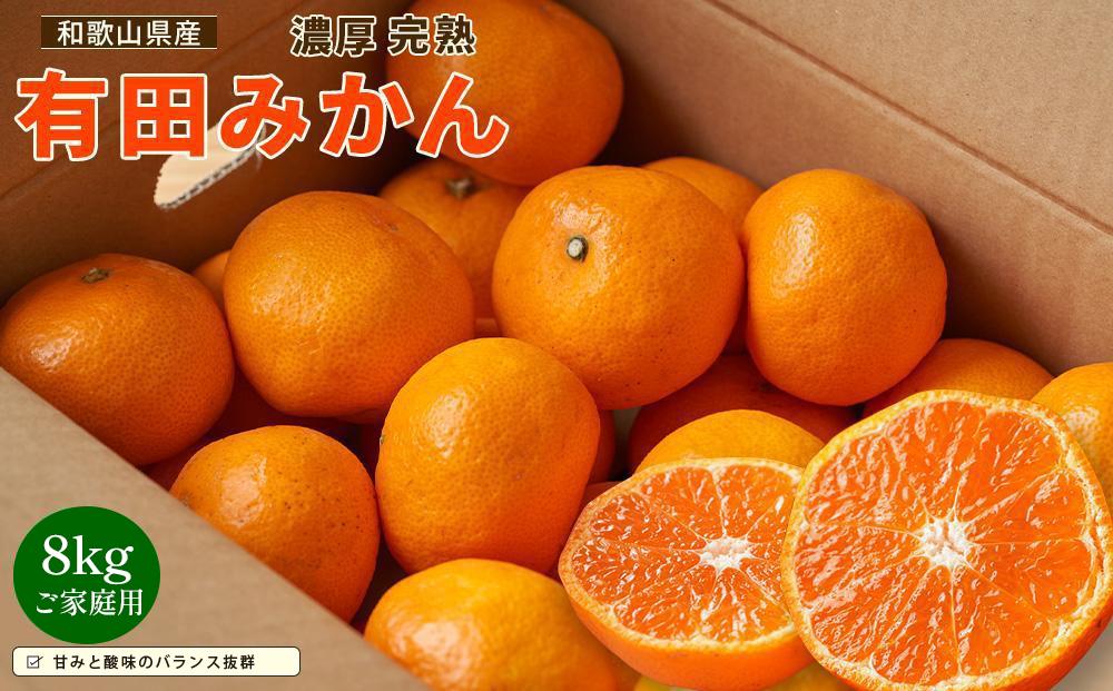 【先行予約】有田育ちのご家庭用 完熟有田みかん8kg【2024年11月上旬より発送】【訳あり】