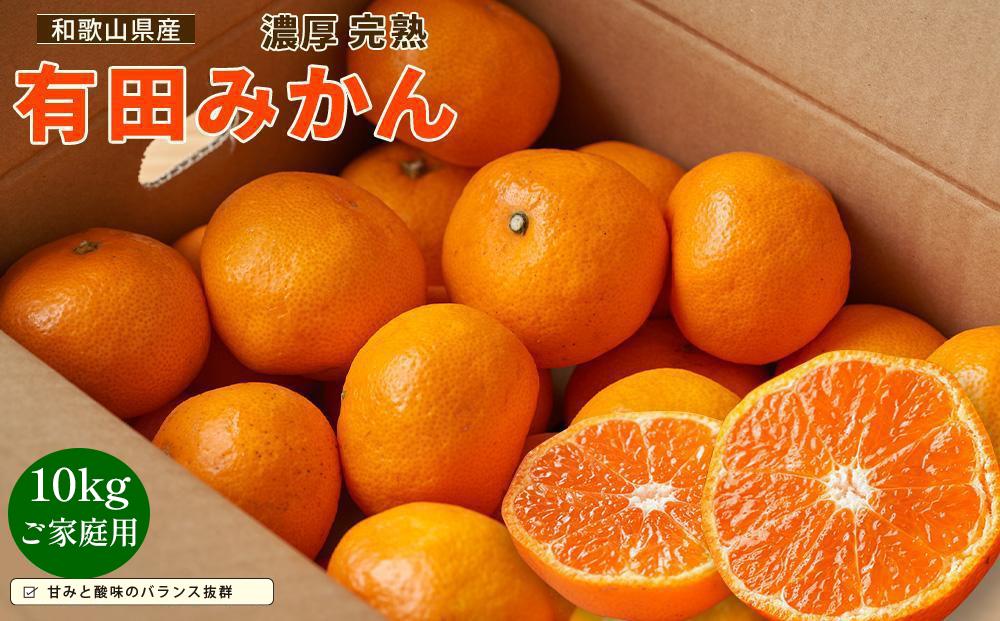 【先行予約】有田育ちのご家庭用 完熟有田みかん10kg【2024年11月上旬より発送】【訳あり】