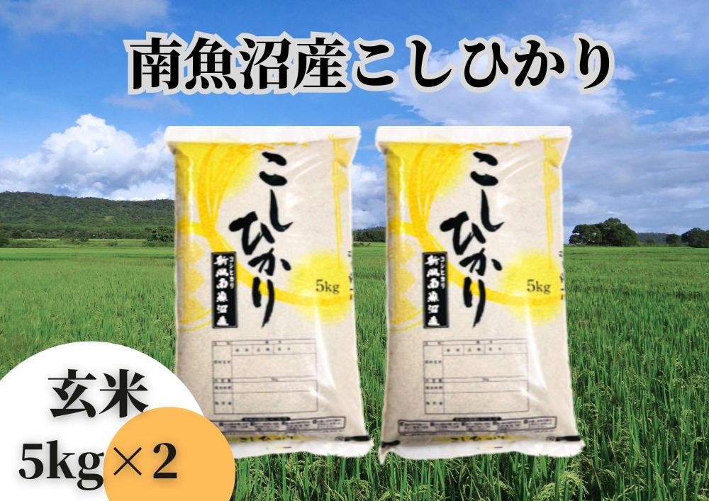 新潟コシヒカリ 20kg 新米 特Aランク 白米 10kg×2 送料込み NK2 - 米