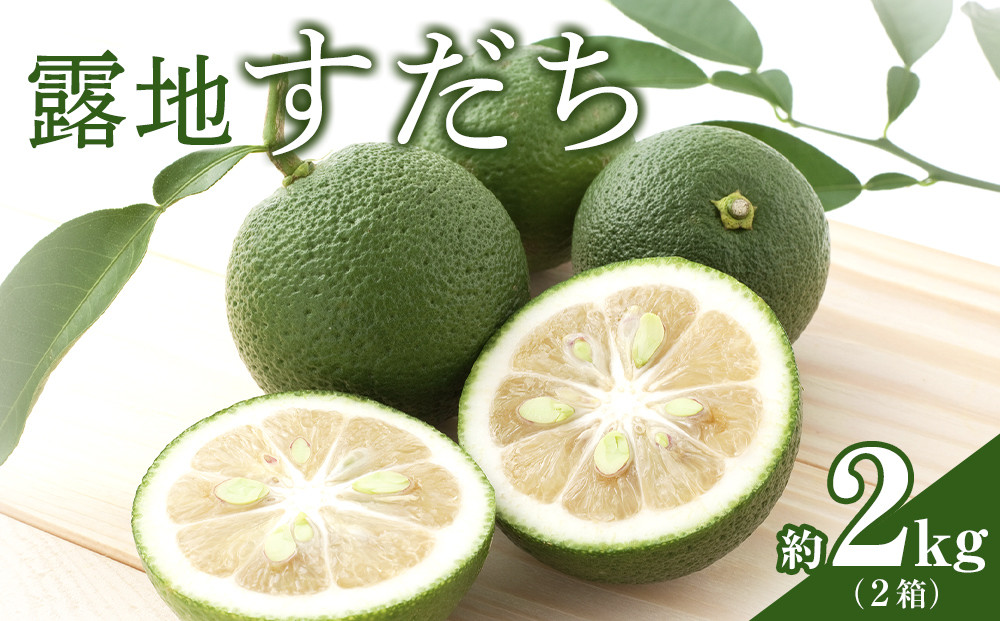 【期間限定】露地すだち約2kg（1箱約1kg×2箱）