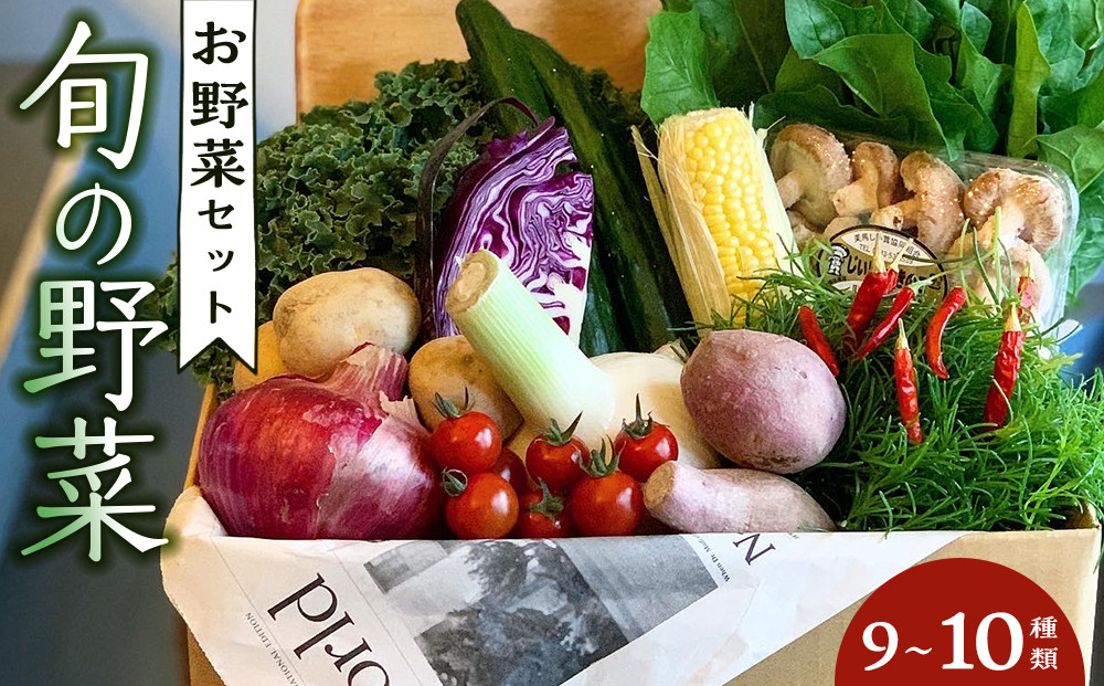 野菜セット&nbsp;旬の野菜&nbsp;（9~10種類)