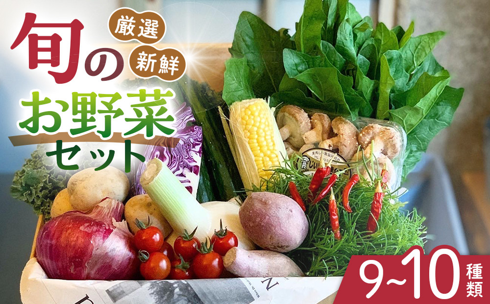 野菜セット&nbsp;旬の野菜&nbsp;（9~10種類)&nbsp;やさい&nbsp;詰合せ&nbsp;新鮮&nbsp;季節の野菜