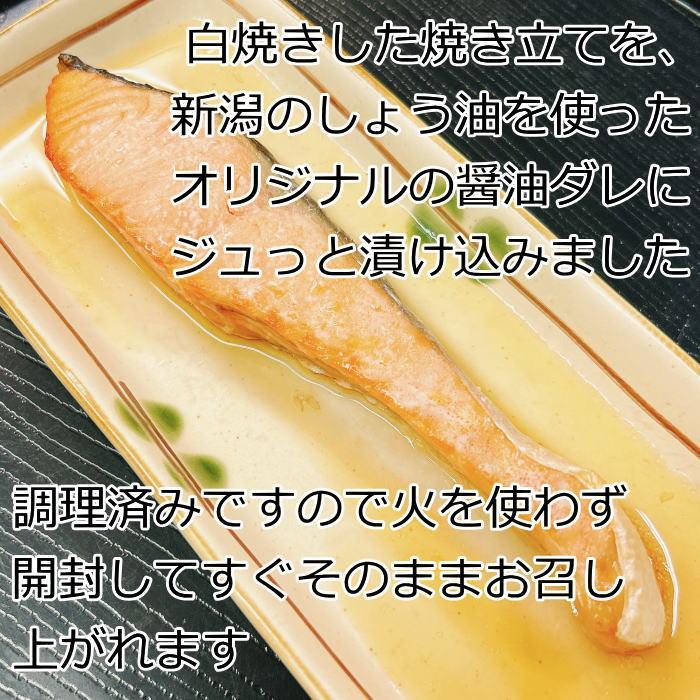 [ふるぽ]　新潟郷土料理】鮭・銀鱈・ブリ・サバの焼き漬けセット（8パック）　JTBのふるさと納税サイト