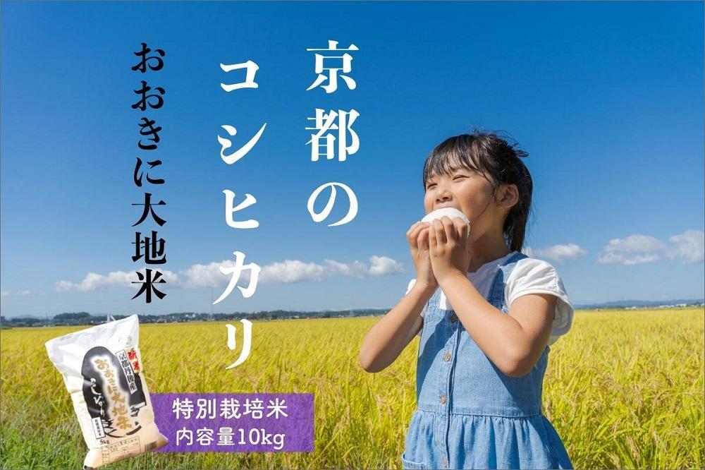 京丹後産 特別栽培米コシヒカリ「おおきに大地米」10kg《令和5