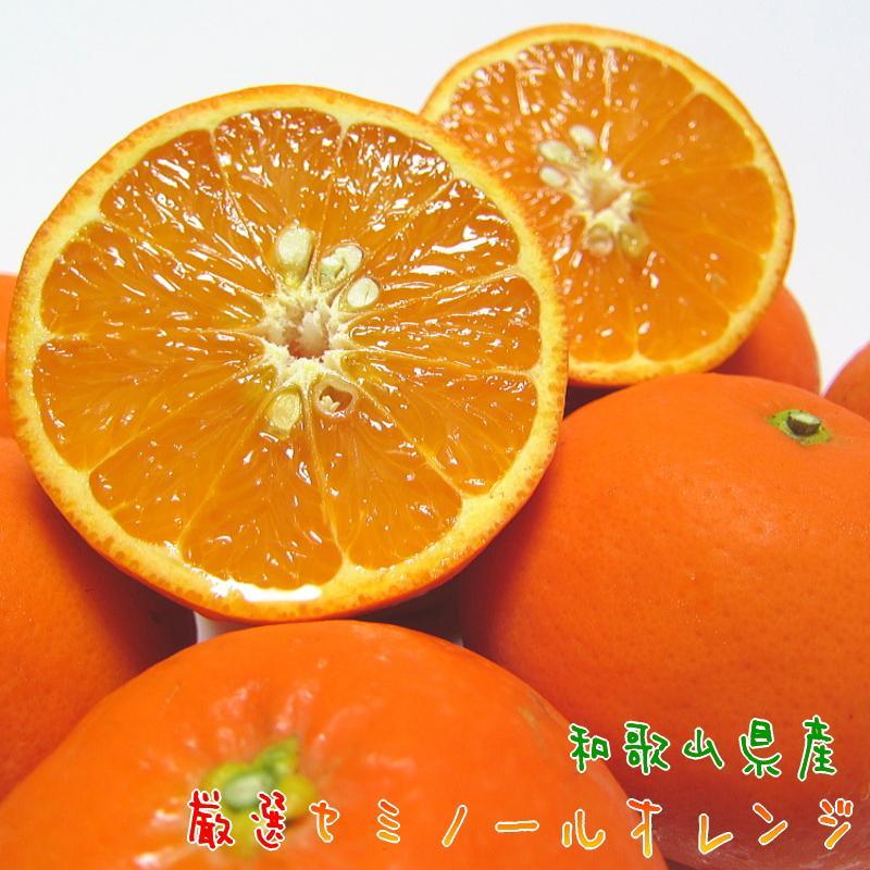 厳選！セミノール オレンジ 2kg【農家直送】【和歌山県産】【先行予約・2025年4月上旬～4月下旬発送】