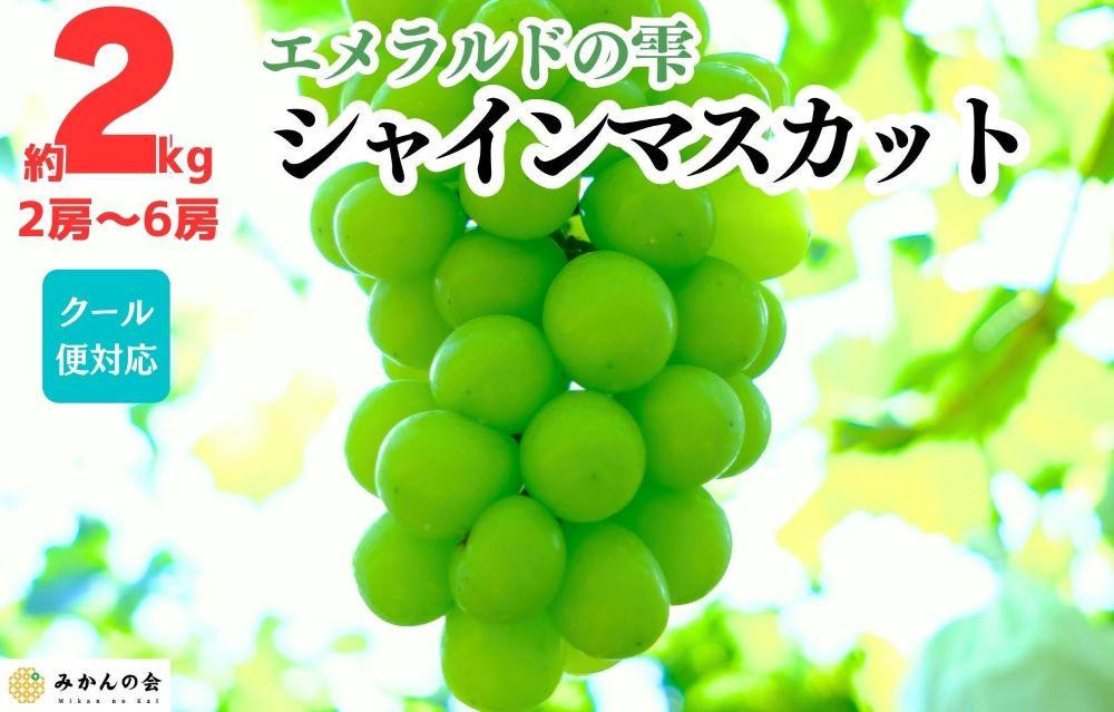 シャインマスカット&nbsp;有田巨峰村&nbsp;2kg&nbsp;(&nbsp;2房&nbsp;～&nbsp;6房&nbsp;)&nbsp;和歌山県産&nbsp;&nbsp;【みかんの会】