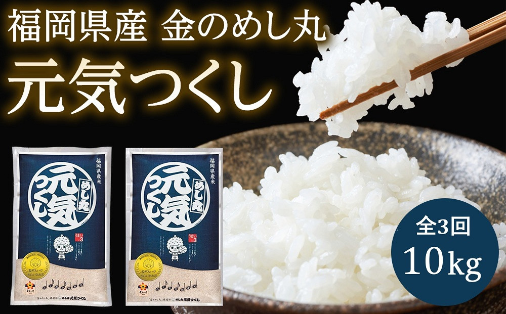 【令和7年度】『定期便（隔月発送）』福岡県産めし丸元気つくし10kg(5kg×2袋)全3回