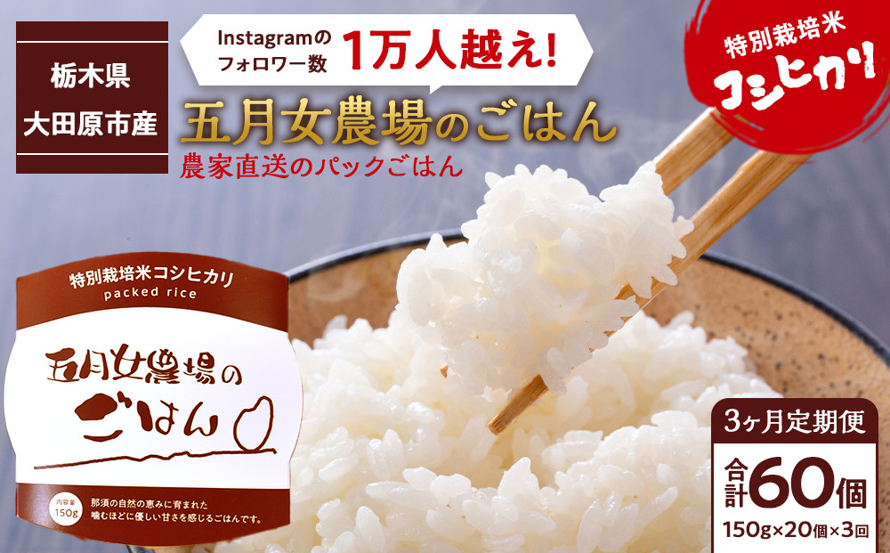 【3か月定期便】農家直送のパックごはん☆五月女農場のごはん（150ｇ×20個）