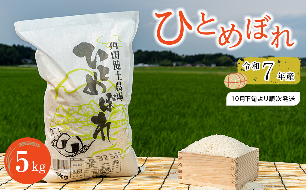 令和7年産 米 ひとめぼれ 5kg お米 白米 精米 こめ ご飯 ごはん おにぎり ヒトメボレ 国産 お取り寄せ 人気 おすすめ 食品 宮城