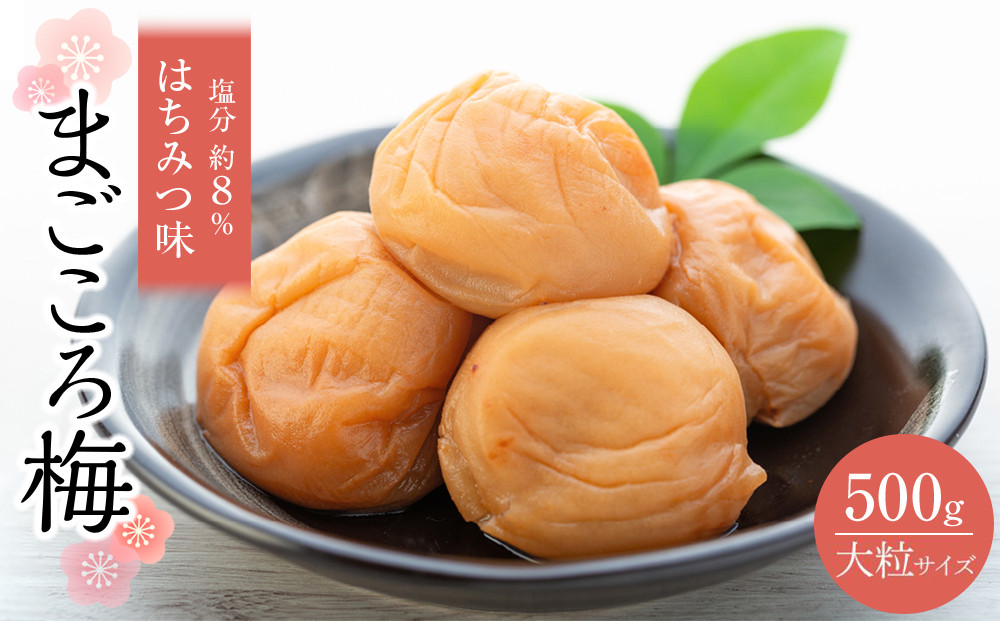 極上&nbsp;紀州南高梅&nbsp;まごころ梅&nbsp;はちみつ&nbsp;梅干し&nbsp;3L&nbsp;サイズ以上&nbsp;500g&nbsp;塩分&nbsp;約8％&nbsp;化粧箱入り
