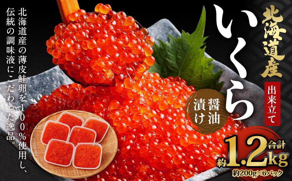 送信ボタンふれて信州産 岐阜の伝統お野菜 約 キロ - 野菜