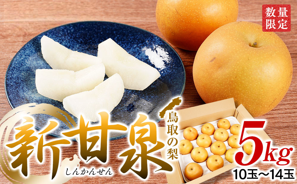 梨&nbsp;新甘泉梨&nbsp;5kg&nbsp;(&nbsp;5kg&nbsp;×&nbsp;1箱&nbsp;)｜梨&nbsp;なし&nbsp;新甘泉梨&nbsp;新甘泉&nbsp;5kg&nbsp;果物&nbsp;フルーツ&nbsp;ナシ&nbsp;甘い&nbsp;果汁&nbsp;和梨&nbsp;箱&nbsp;甘み&nbsp;くだもの&nbsp;国産&nbsp;果実&nbsp;鳥取県&nbsp;三朝町