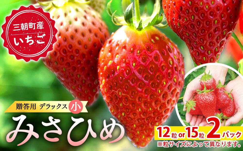 いちご&nbsp;みさひめ&nbsp;三朝町産&nbsp;贈答用&nbsp;デラックス大&nbsp;(&nbsp;12粒&nbsp;または&nbsp;15粒×2ケース&nbsp;)｜冷蔵&nbsp;いちご&nbsp;苺&nbsp;みさひめ&nbsp;果物&nbsp;スイーツ&nbsp;数量限定&nbsp;期間限定&nbsp;特産品&nbsp;デザート&nbsp;フルーツ&nbsp;人気&nbsp;おすすめ&nbsp;鳥取県&nbsp;三朝町