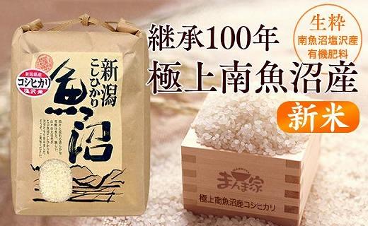 先着 新米！令和5年産！極上コシヒカリ！玄米or精米or無洗米！20 - 食品