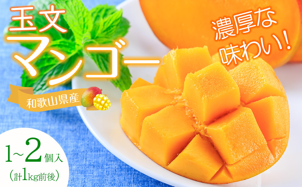 幻のマンゴー&nbsp;玉文&nbsp;約1kg&nbsp;和歌山市&nbsp;2025年9月発送