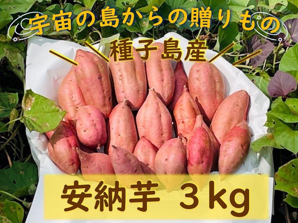 ＜先行予約＞【種子島安納】種子島産安納芋3kg【焼き芋 焼芋 芋 いも やきいも さつまいも さつま芋 熟成 蜜 しっとり 甘い 安納いも 国産 鹿児島県産 種子島産 中種子町 送料無料 N161】