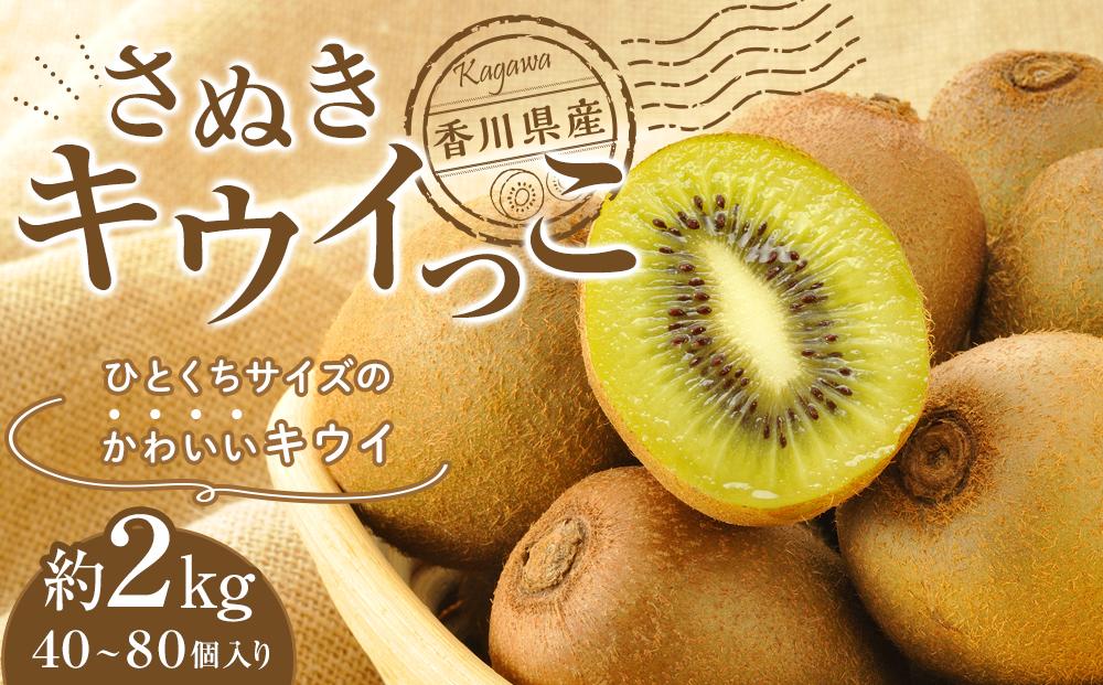 さぬきキウイっこ　香川県産　約2kg（40～80個入り）
