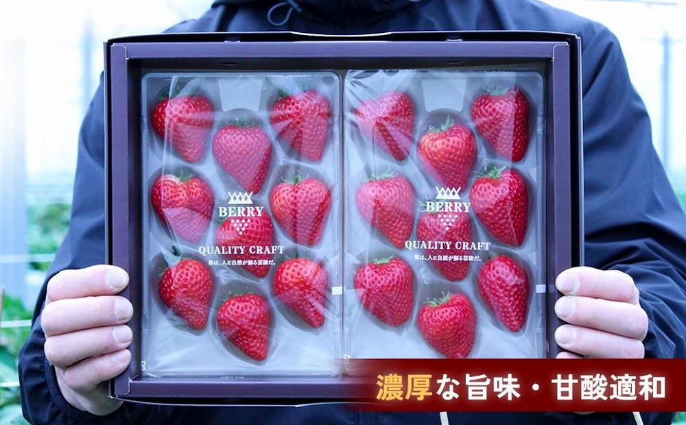 【完熟クラフト苺BERRY】有名シェフ御用達【樹上完熟よつぼし】約500g（出荷2023年12月上旬～2024年5月下旬）