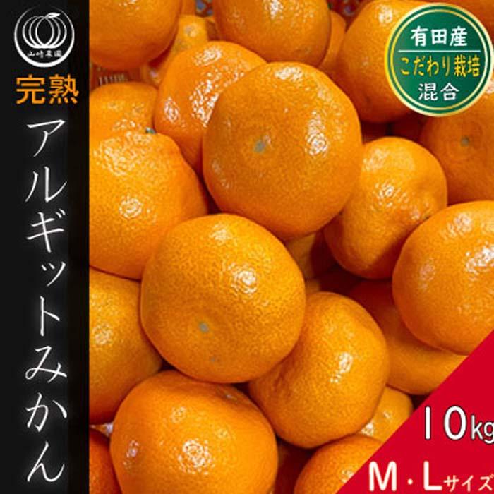 完熟 アルギット みかん 10kg M ～ Lサイズ | 年内発送 可 先行予約 みかん 有田みかん 甘い おいしい ジューシー 皮 薄い 完熟 期間限定 フルーツ 果物 人気 おすすめ 高級 こだわり ギフト 旬 お取り寄せ 送料無料 和歌山 