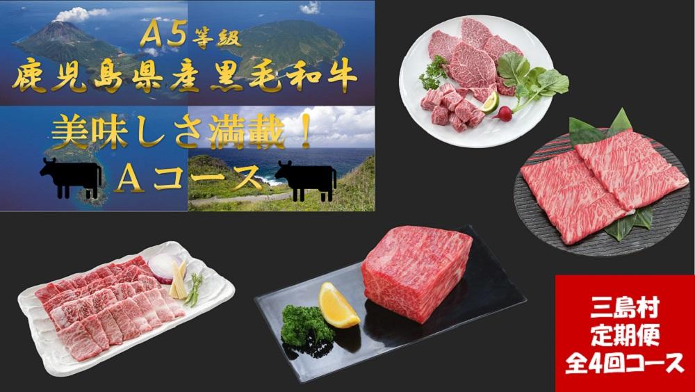 JTBのふるさと納税サイト　鹿児島県産黒毛和牛の定期便-A（焼肉セット400g・赤身ブロック400g・ヒレステーキ2種480g・しゃぶしゃぶすき焼きセット800g）　A5等級　定期便/全4回】美味しさ満載！贅沢　[ふるぽ]