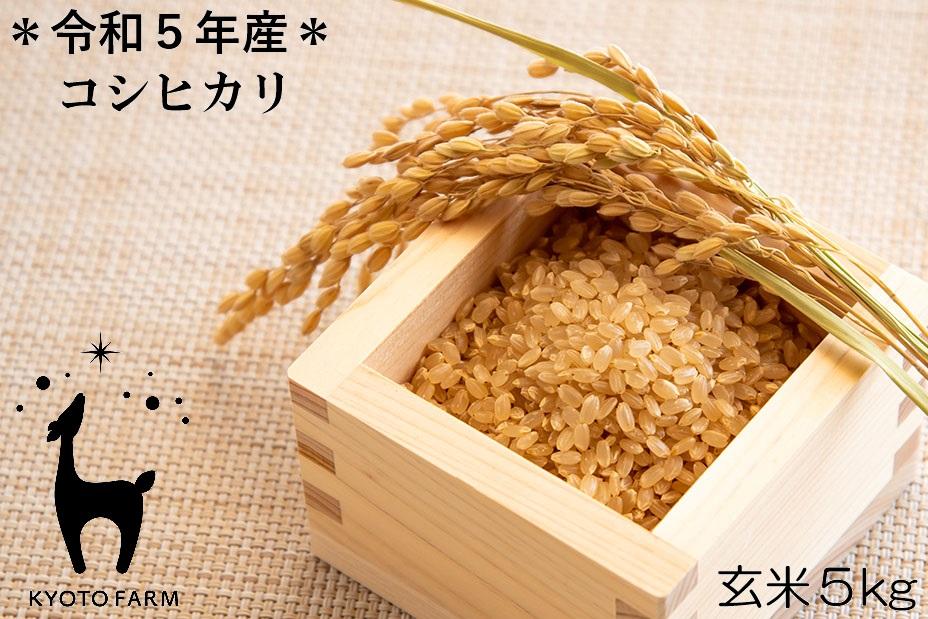【京都ファーム】令和5年産 京都ファームのコシヒカリ 玄米5kg