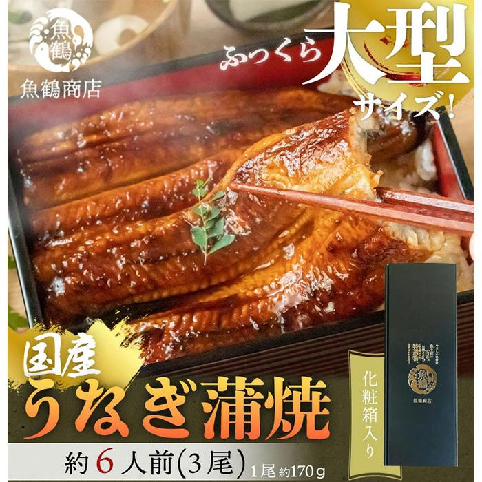 大型サイズ　ふっくら柔らか　国産うなぎ蒲焼き　2尾　化粧箱入【秋土用の丑の日のうなぎ】【～10月30日までにお届け】