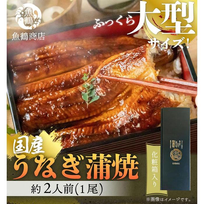 大型サイズ&nbsp;ふっくら柔らか&nbsp;国産うなぎ蒲焼き&nbsp;1尾（約2人前）化粧箱入【秋土用の丑の日のうなぎ】【～10月30日までにお届け】［UT04］