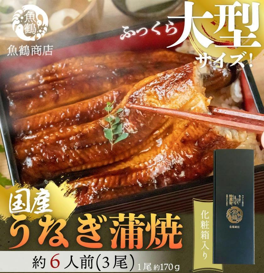 大型サイズ　ふっくら柔らか　国産うなぎ蒲焼き　3尾　化粧箱入【土用の丑の日のうなぎ】【2025年2月1日までにお届け】【UT06】