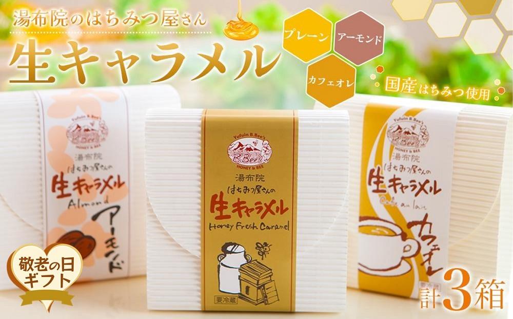【敬老の日】【湯布院のはちみつ屋さん】国産蜂蜜を使用した3種の生キャラメル&nbsp;（プレーン・カフェオレ・アーモンド）各12粒入り&nbsp;計3箱