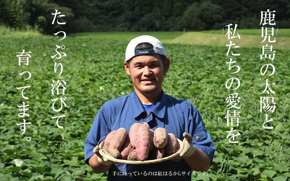 熊本県産　さつまいも『紅はるか』焼き芋サイズ　約10キロ　51